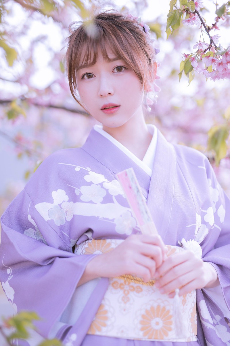 樱花季