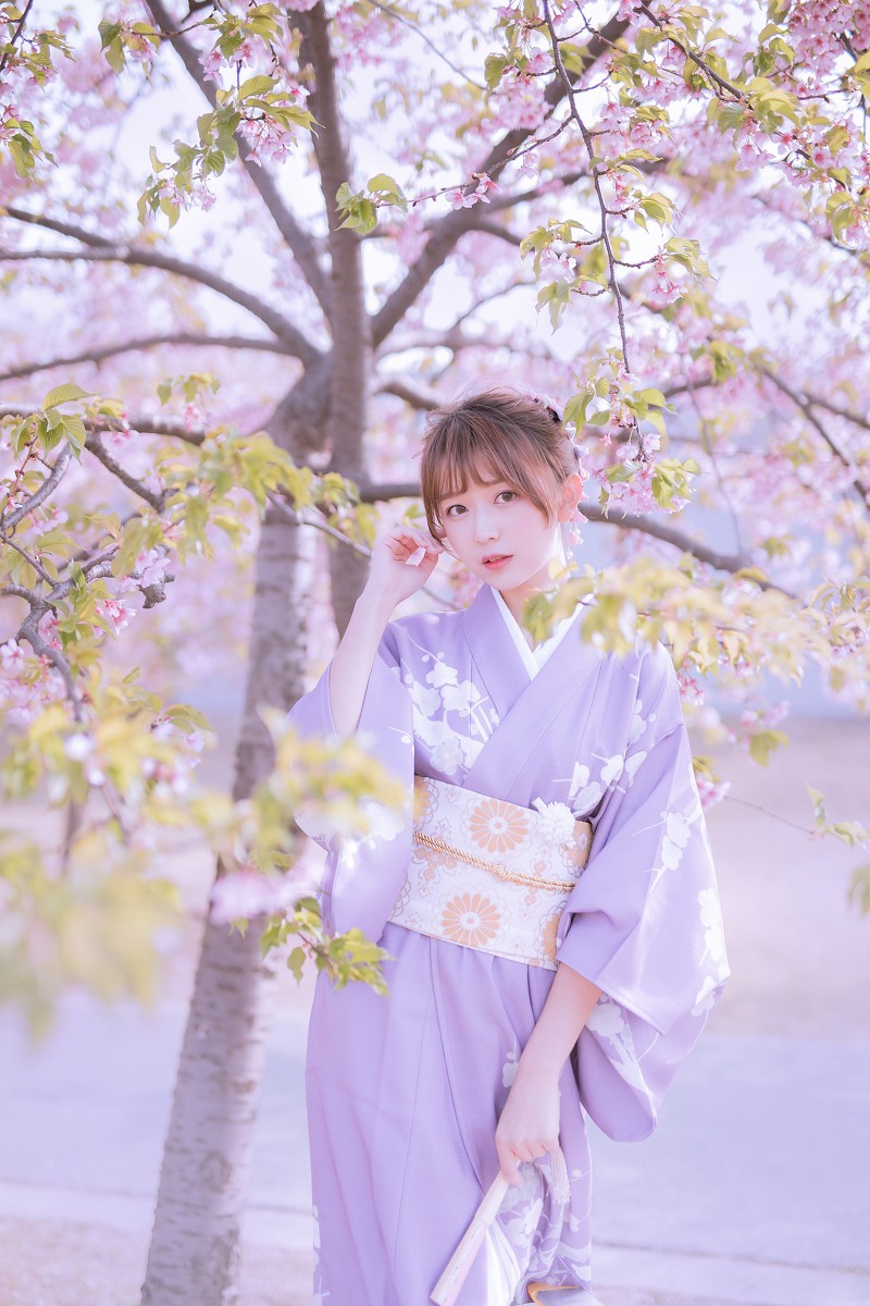樱花季