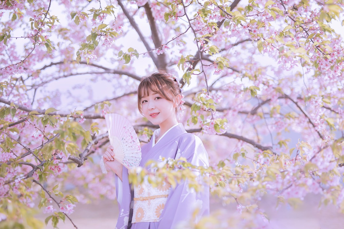 樱花季