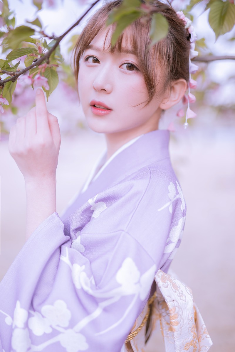 樱花季