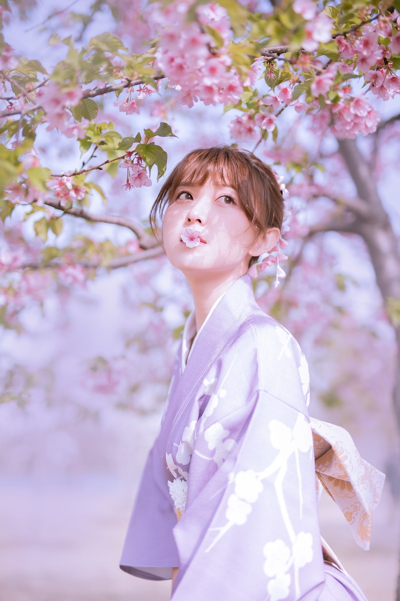 樱花季