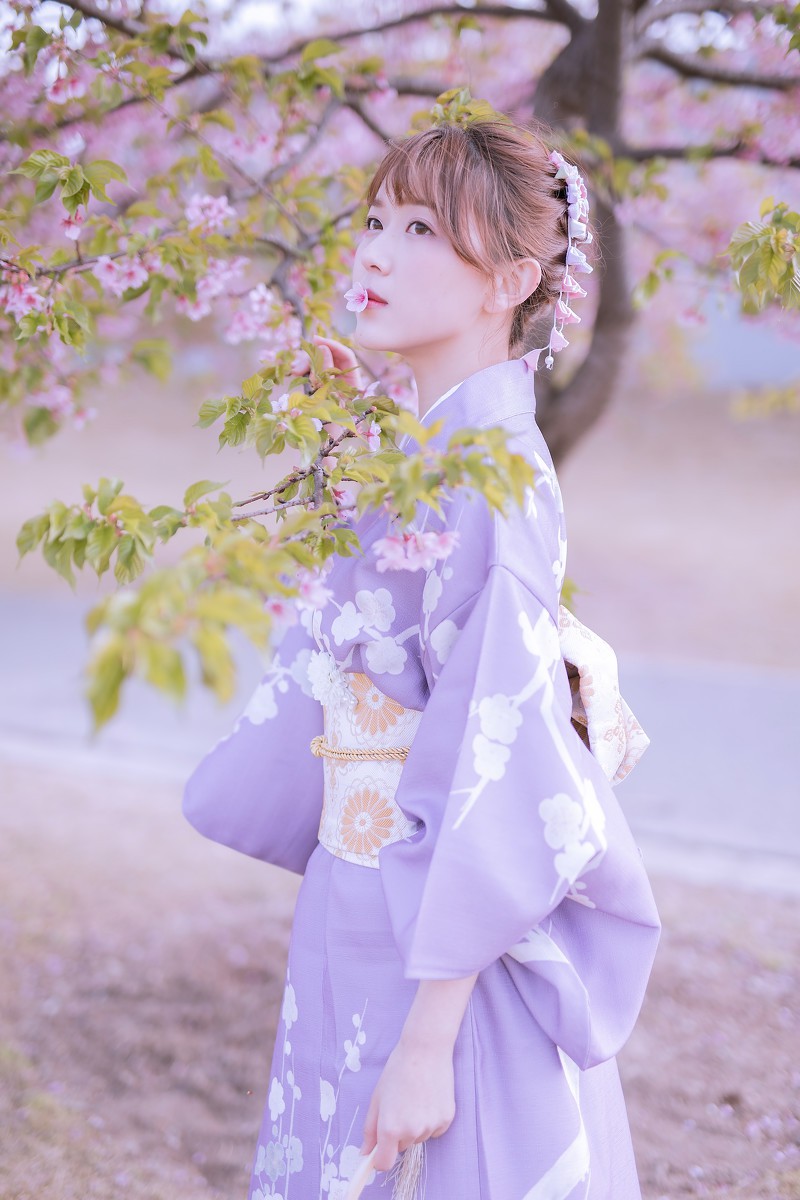 樱花季