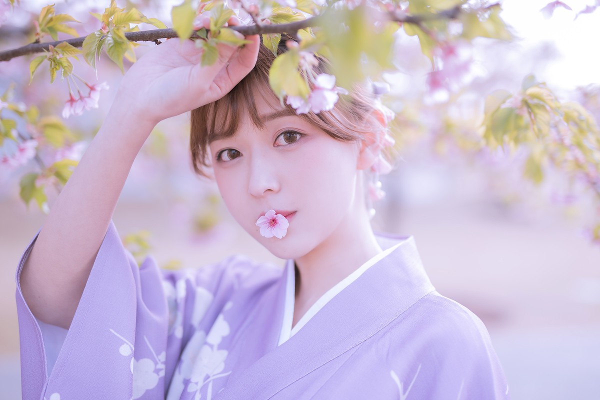 樱花季