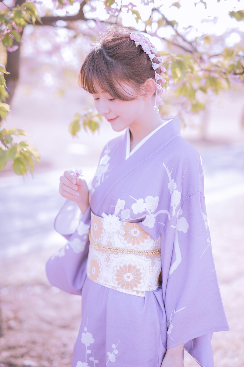 樱花季