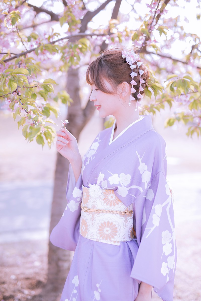 樱花季