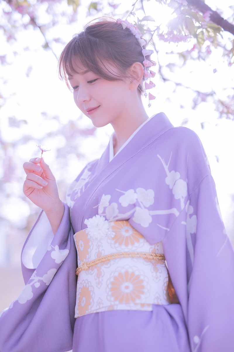 樱花季