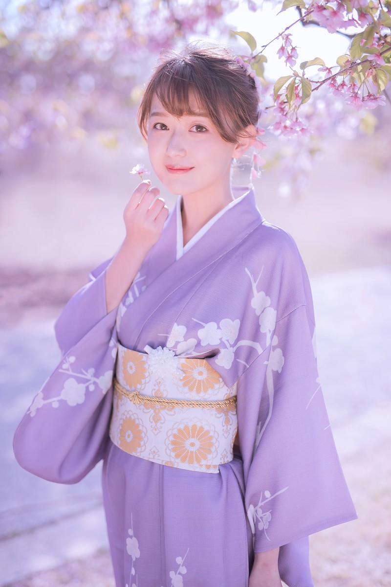 樱花季