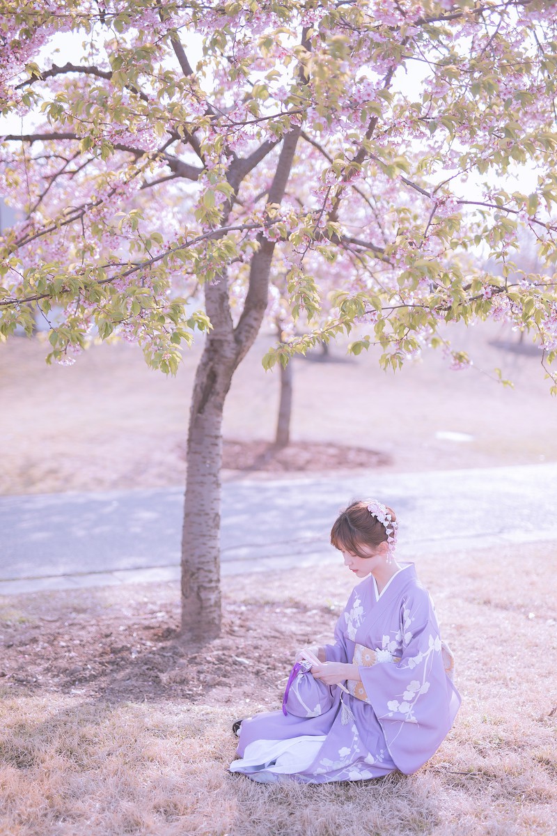 樱花季