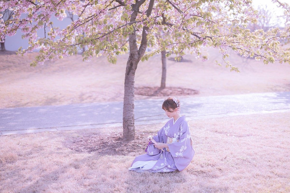 樱花季