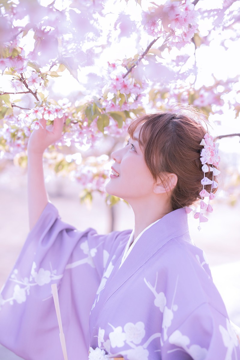 樱花季