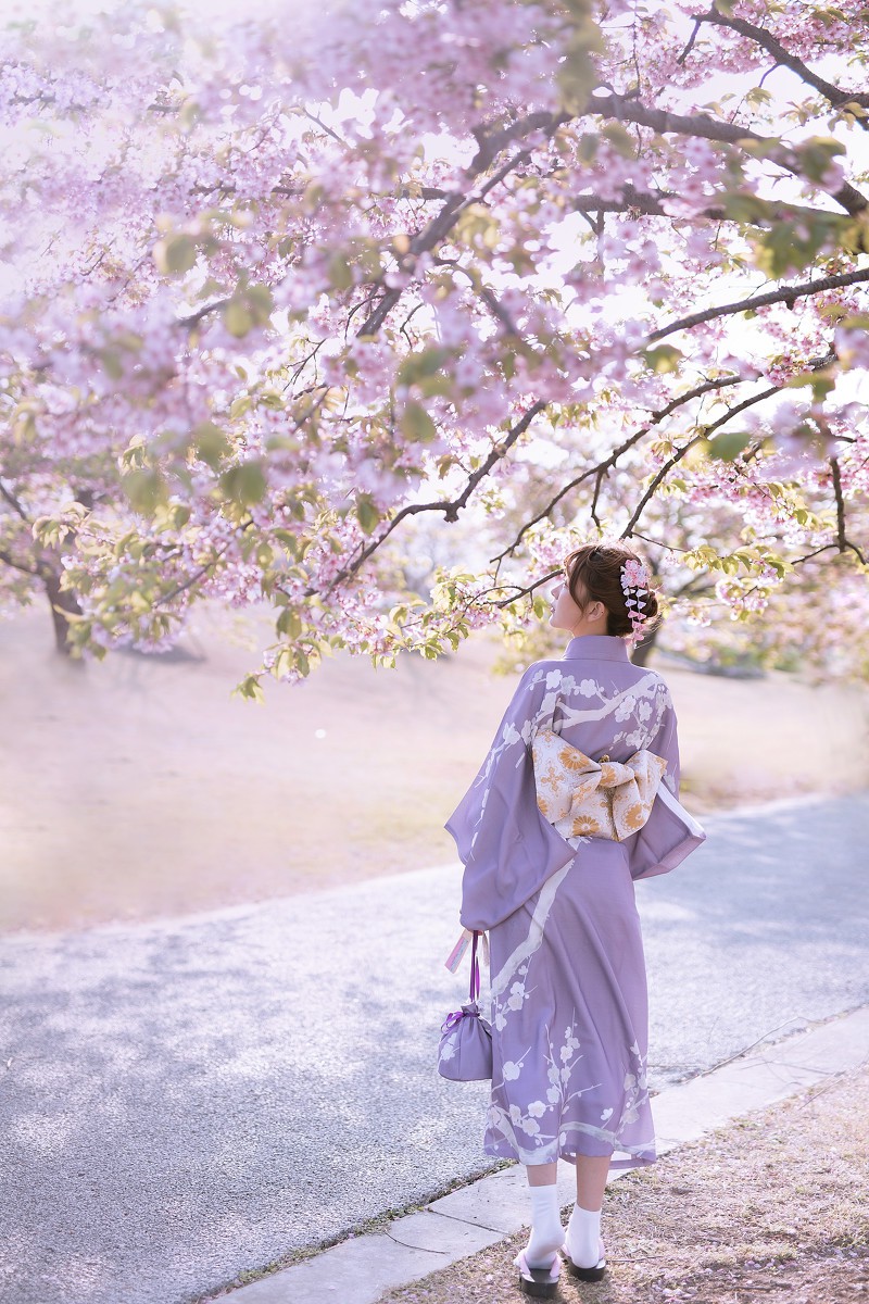 樱花季