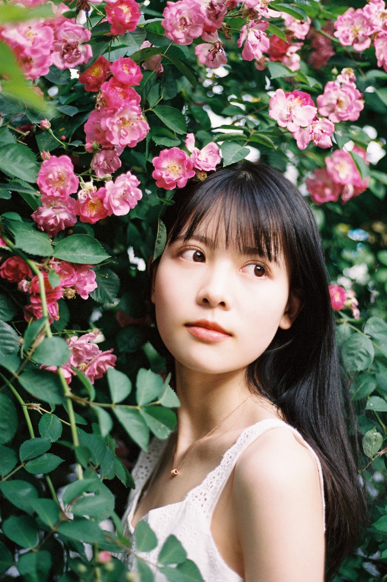 梁小萌—蔷薇花开