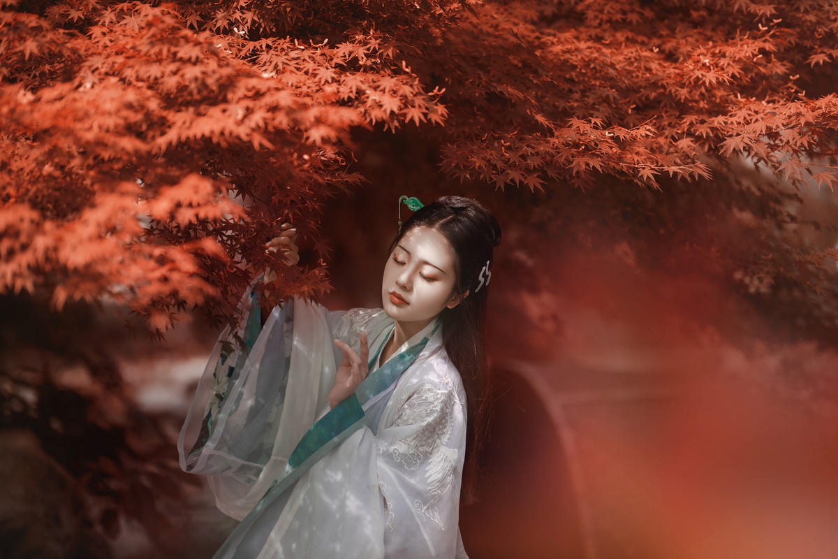 霜叶红于二月花