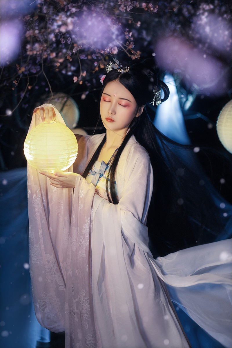 花蝶梦