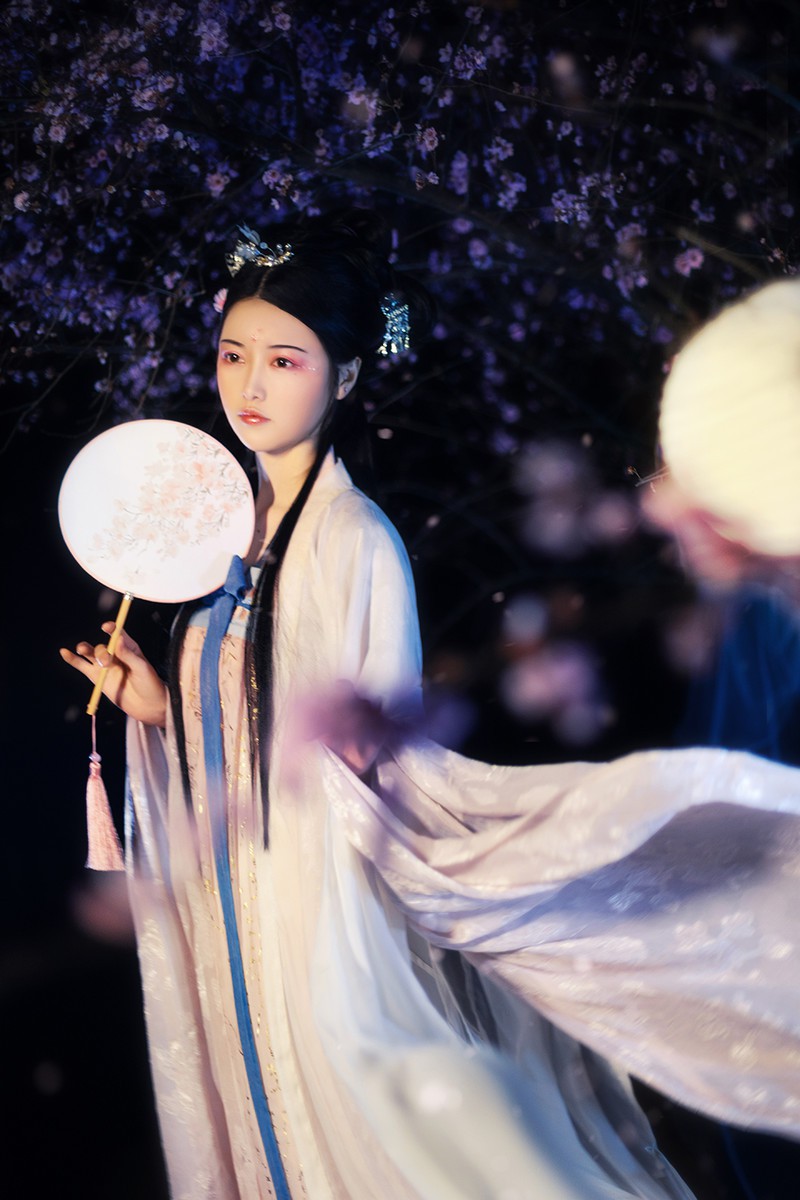 花蝶梦