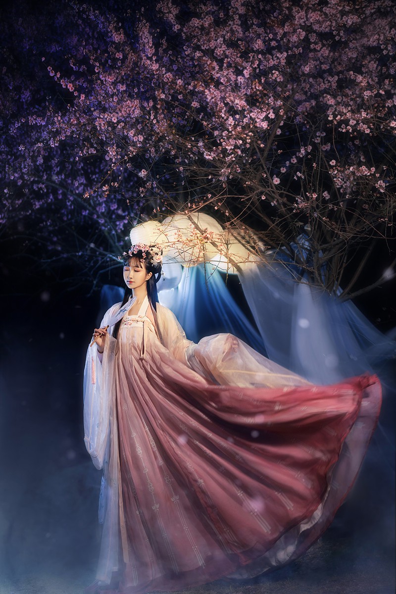 花蝶梦