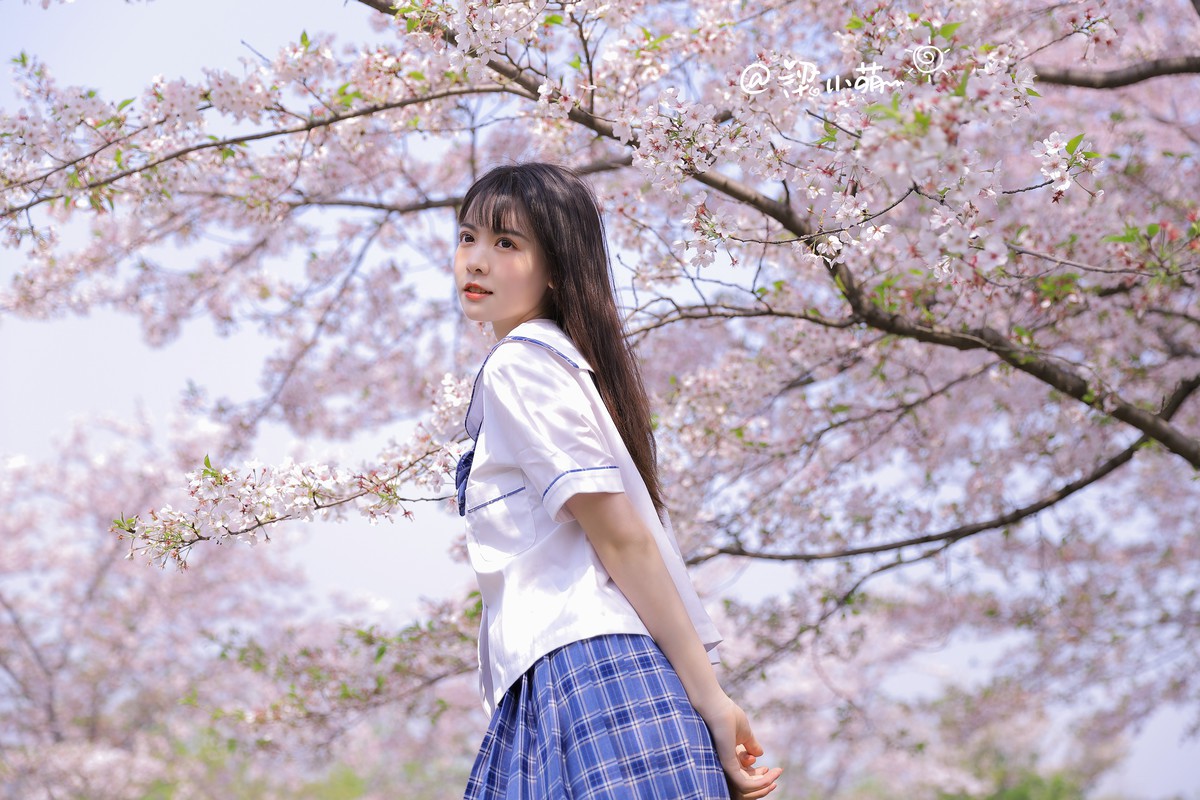 梁小萌—带你去看樱花雨