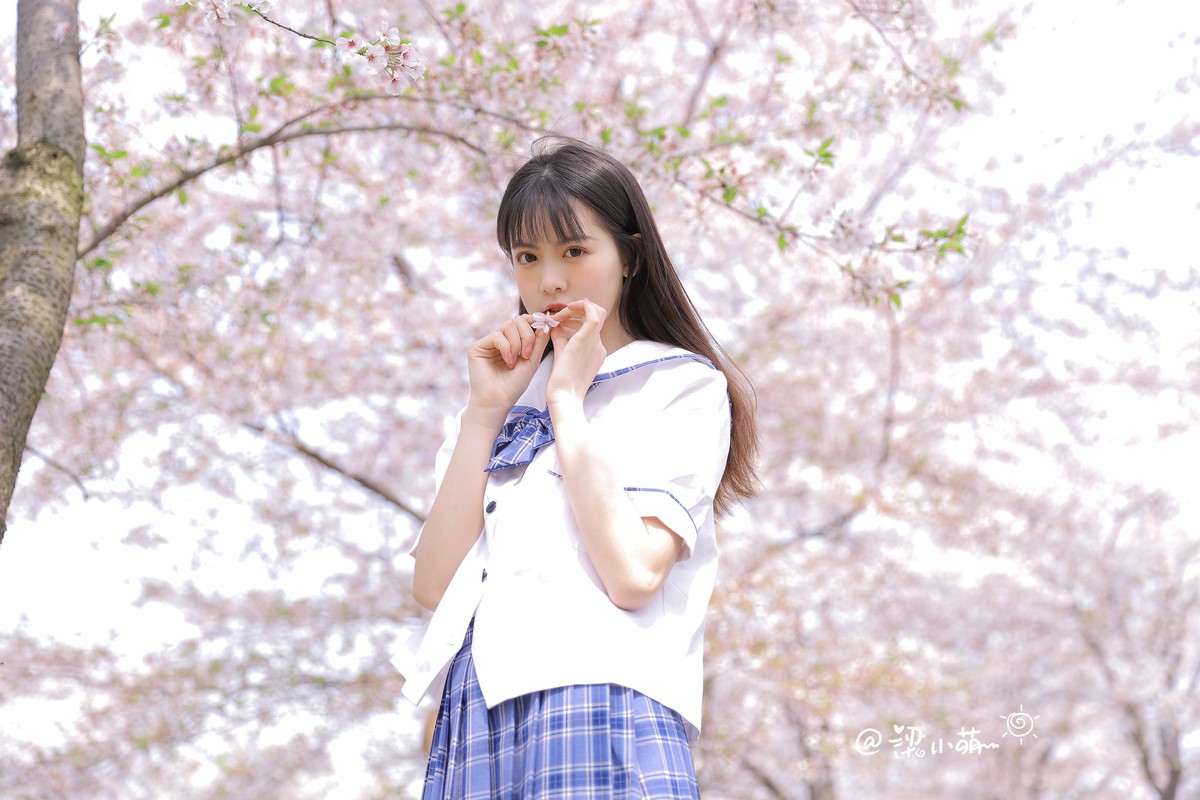 梁小萌—带你去看樱花雨