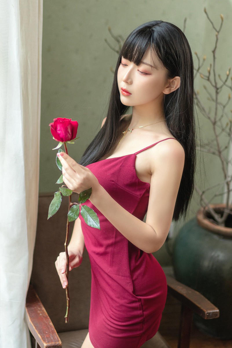 猫病—Red Rose