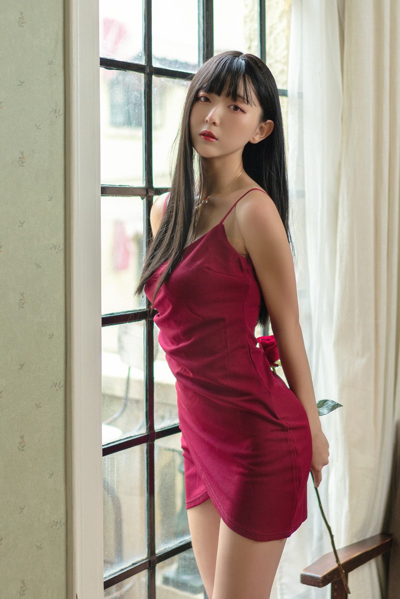 猫病—Red Rose