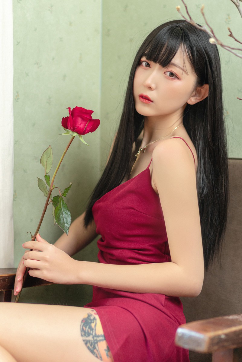 猫病—Red Rose