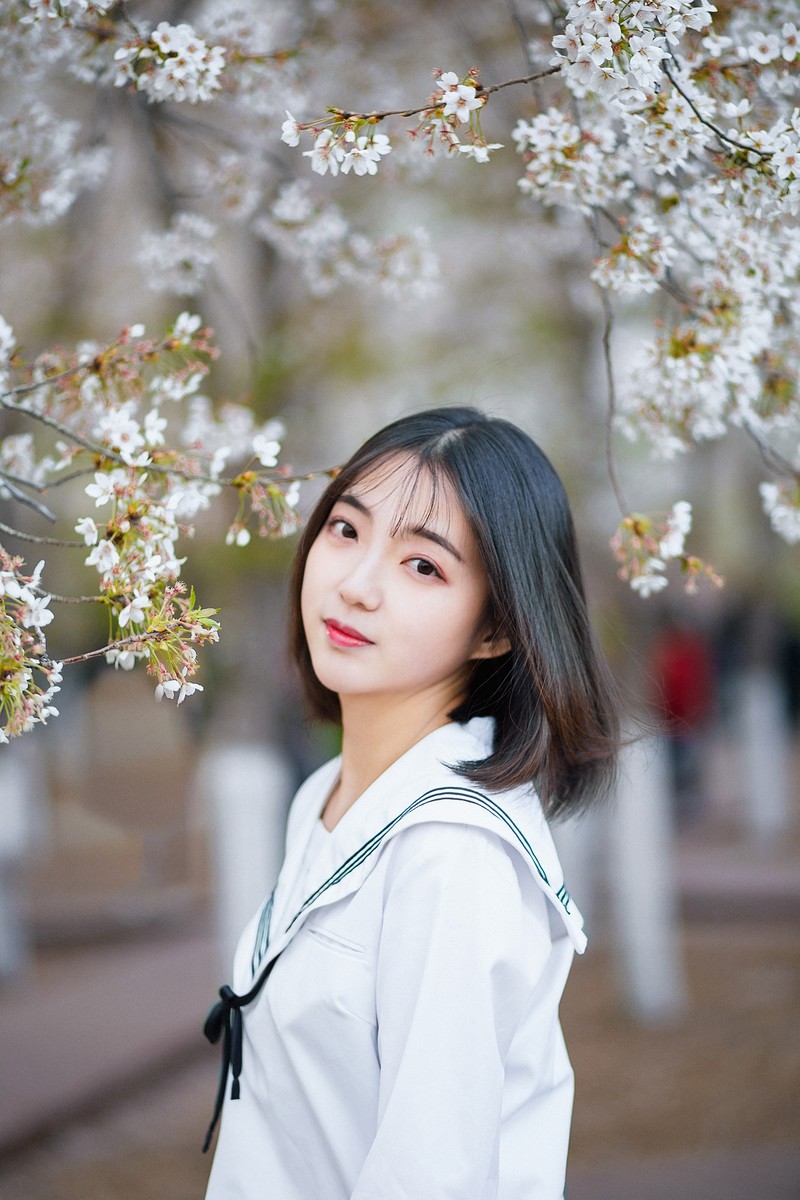 樱花开
