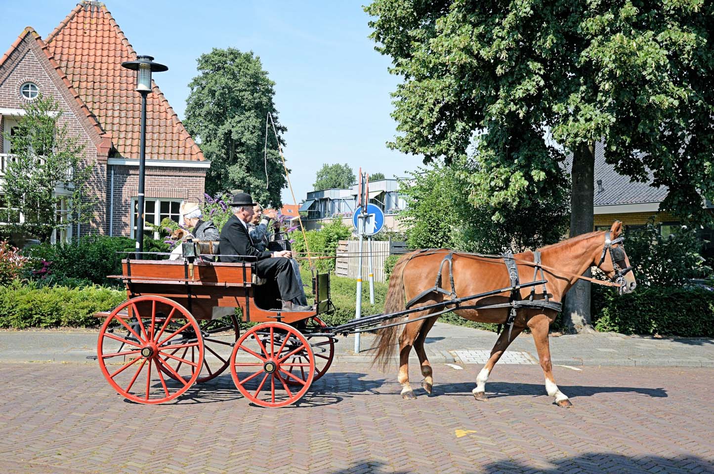 荷兰传统马车