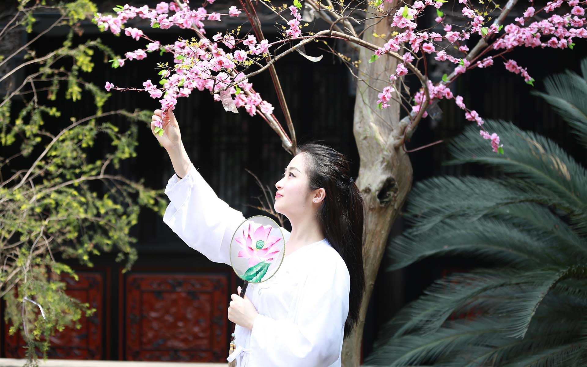 清新脱俗古装美女