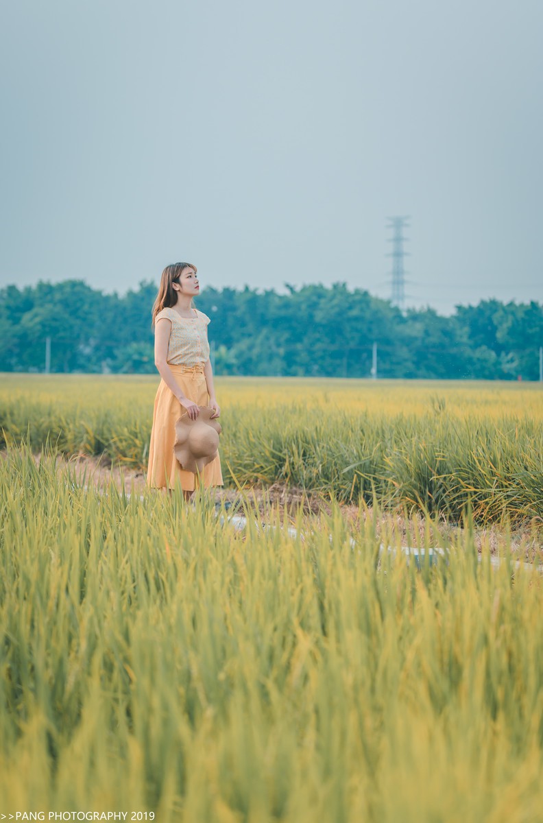 湘湘—一场梦