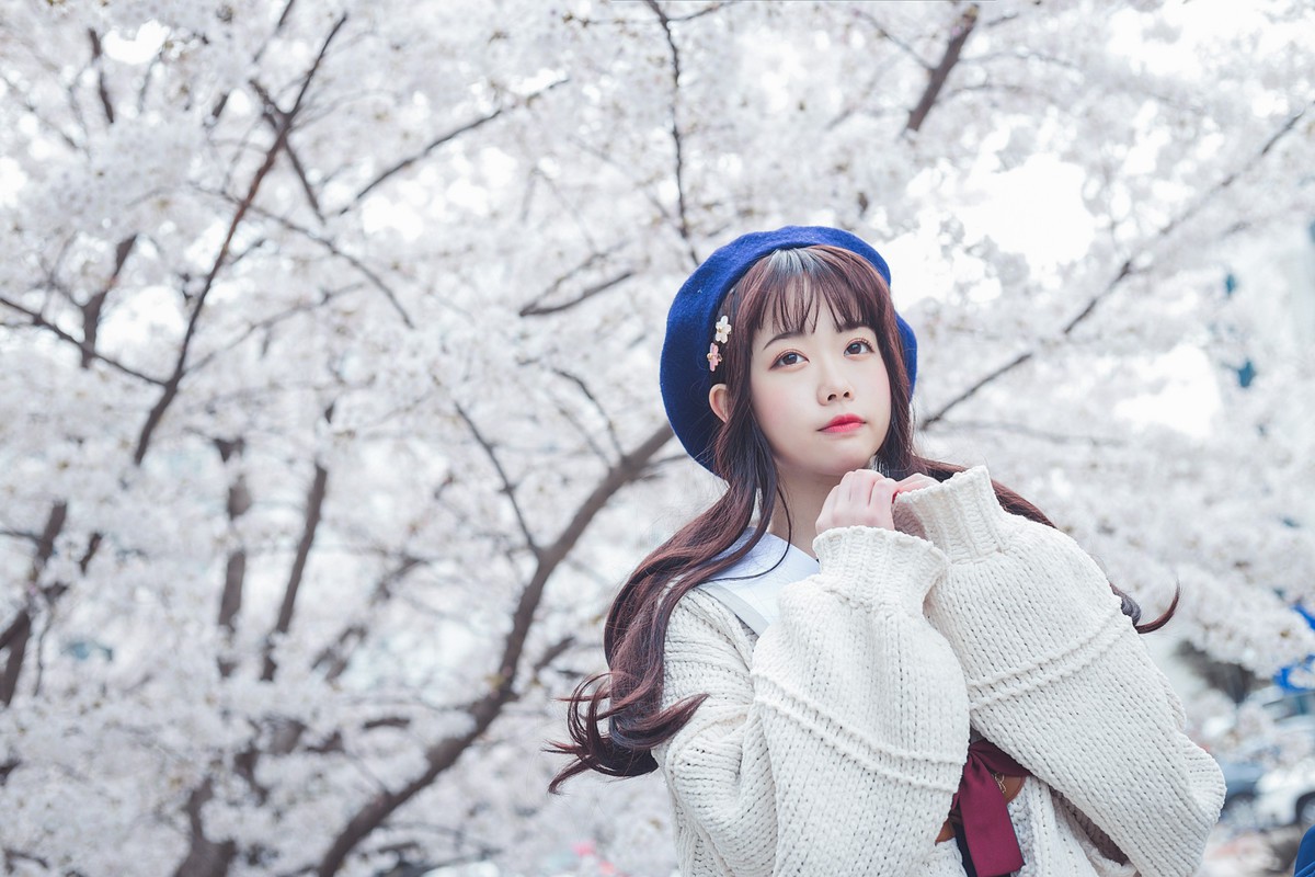 白雪姬x桜