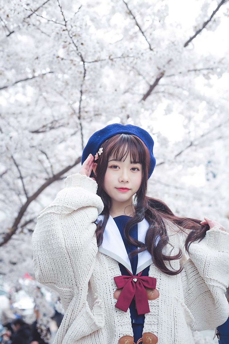 白雪姬x桜
