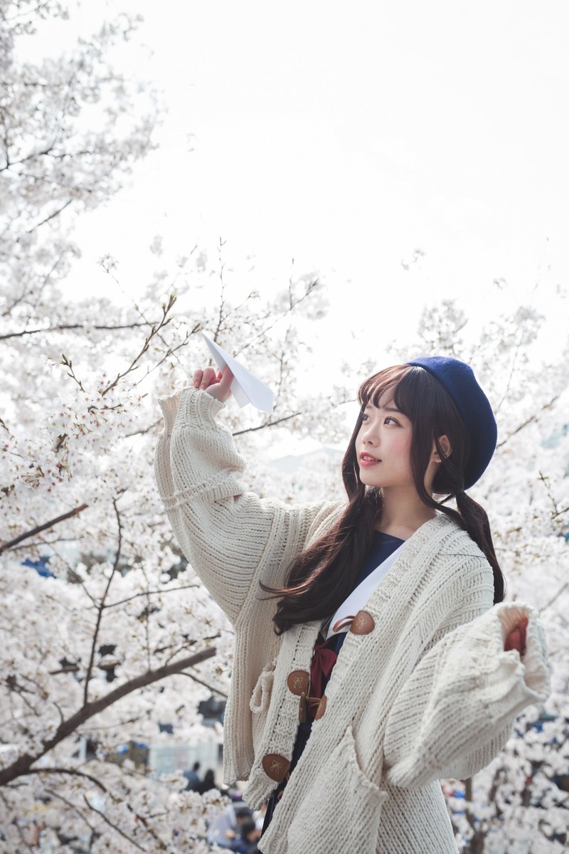 白雪姬x桜