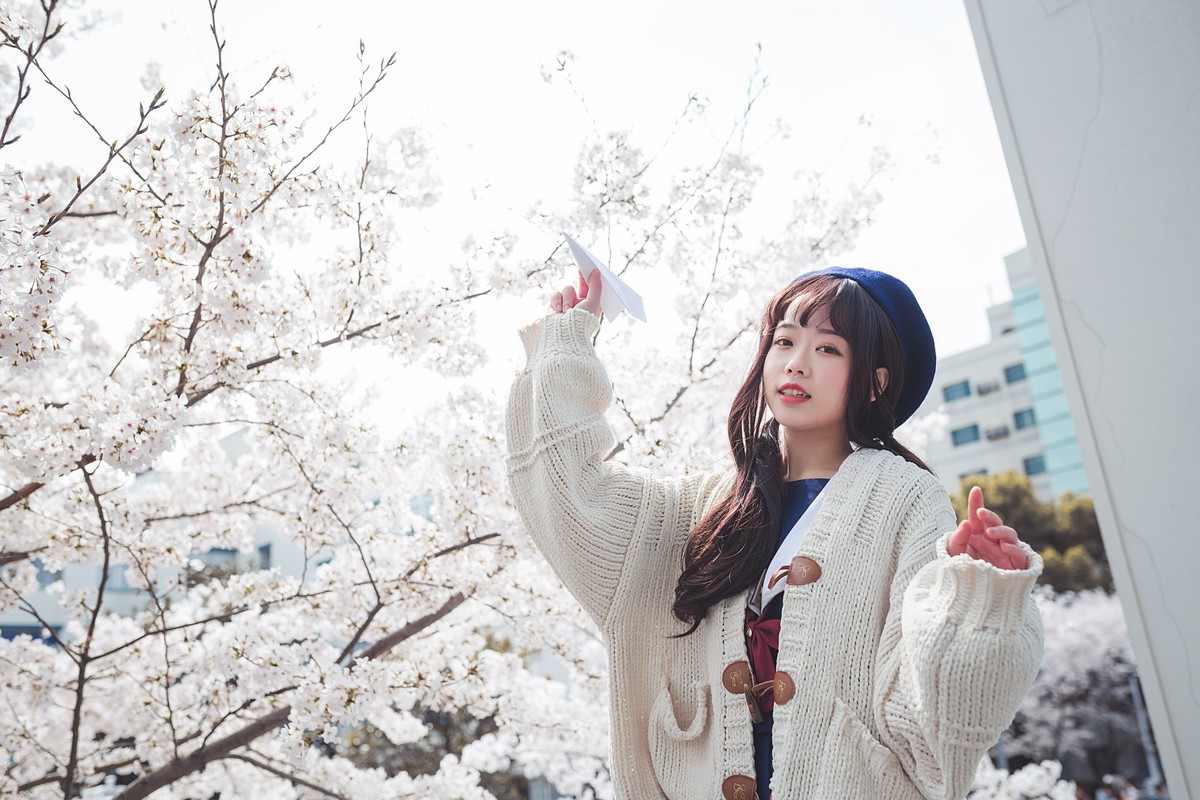 白雪姬x桜