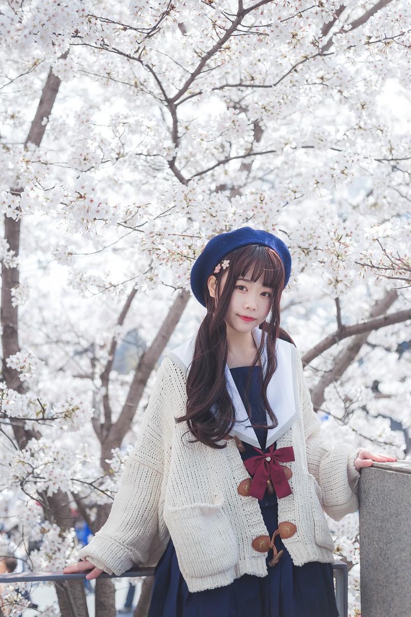 白雪姬x桜