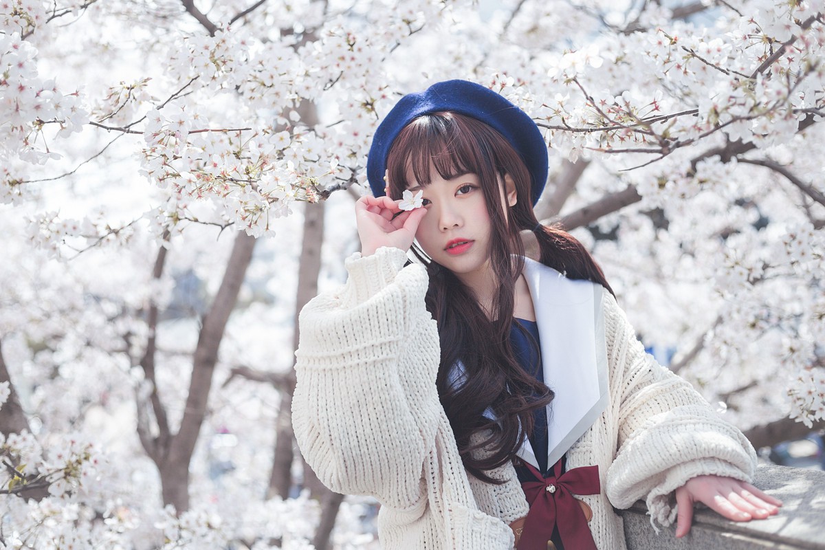 白雪姬x桜