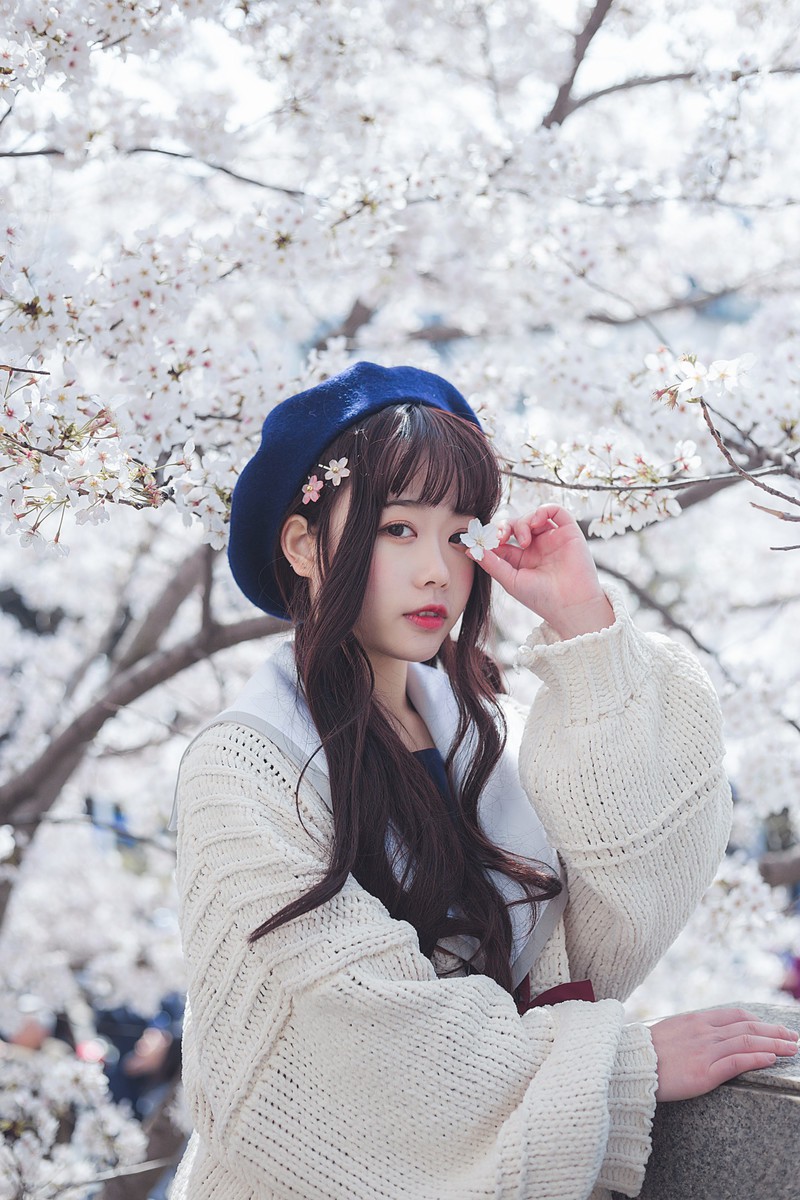 白雪姬x桜