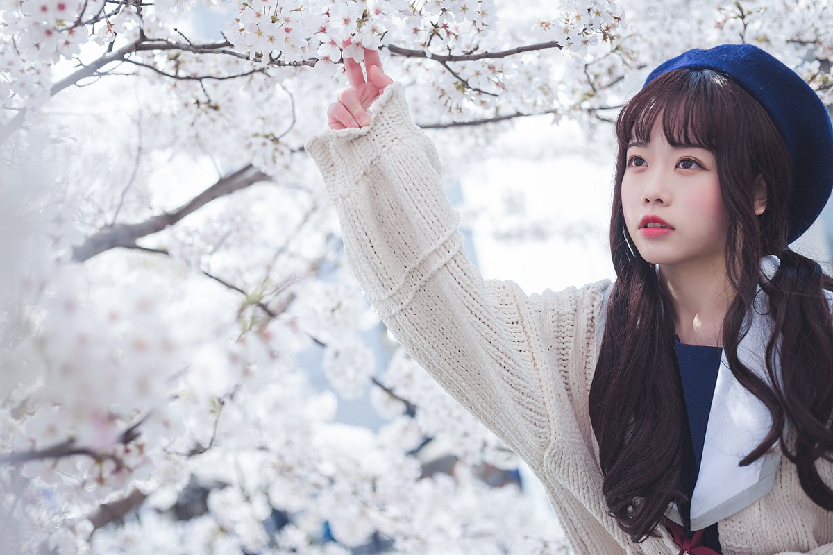 白雪姬x桜