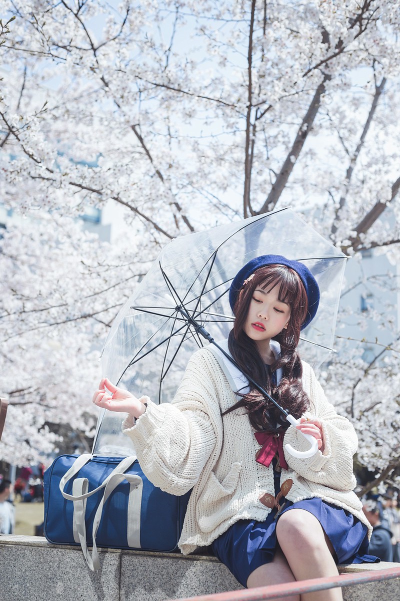 白雪姬x桜