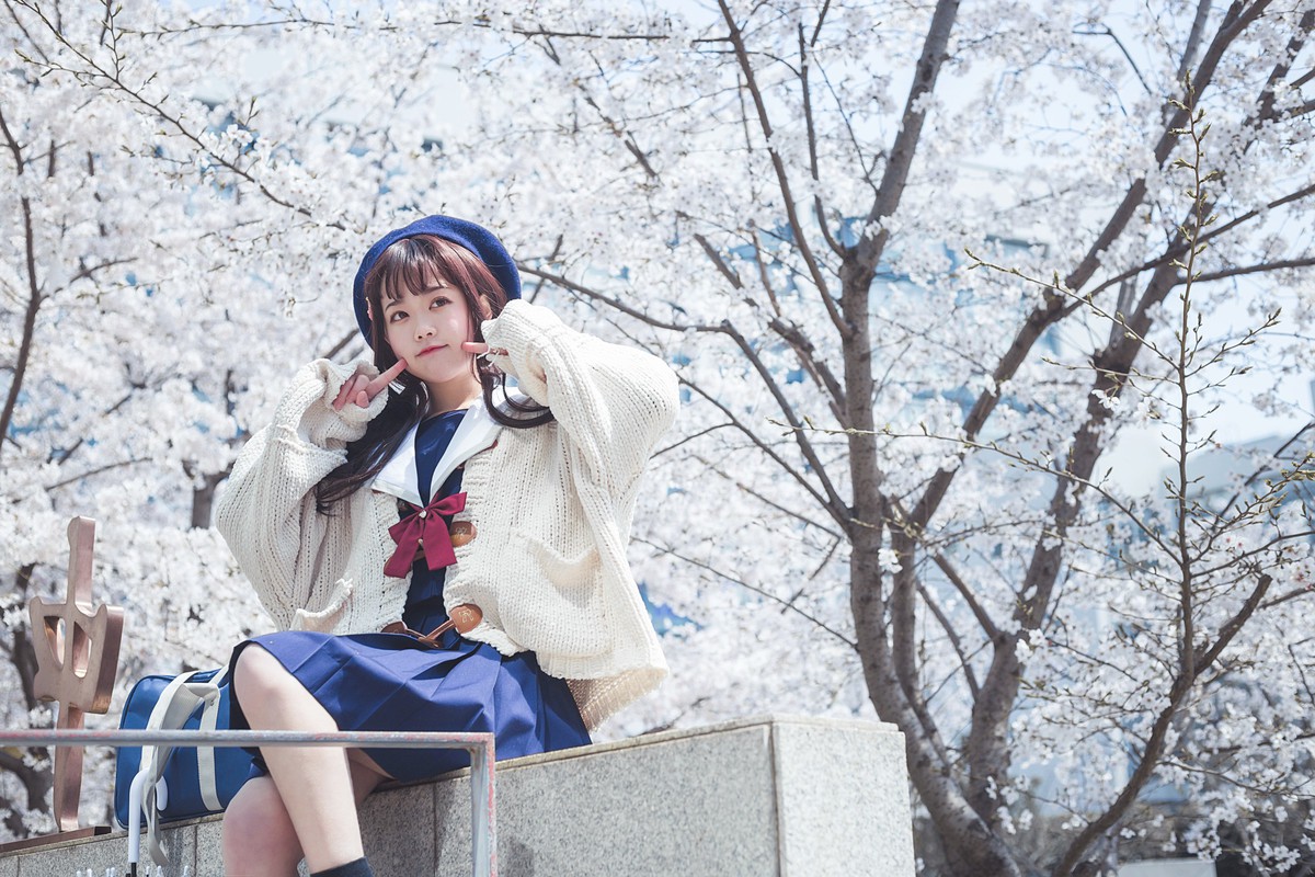 白雪姬x桜