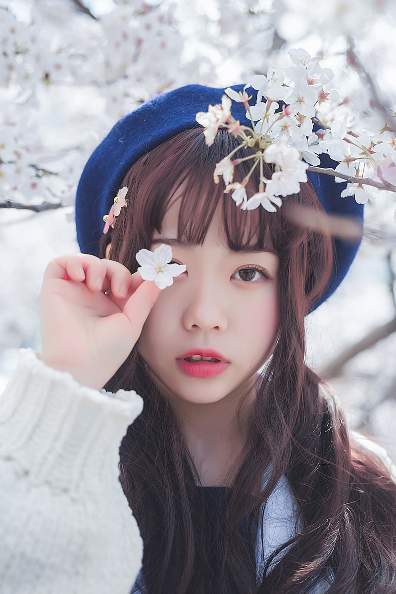 白雪姬x桜