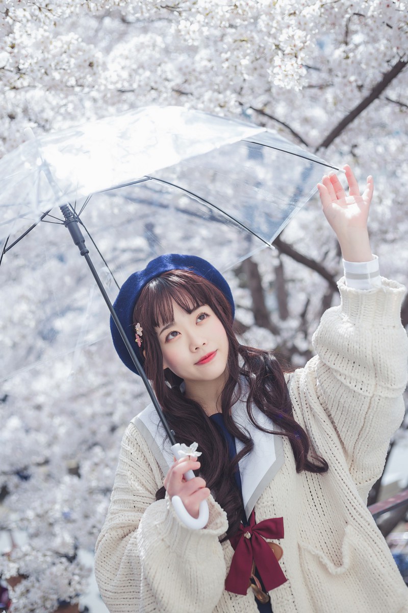 白雪姬x桜