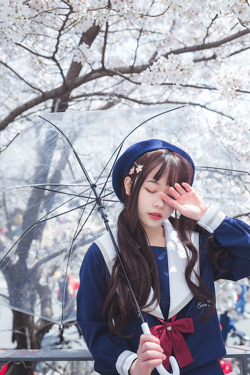 白雪姬x桜