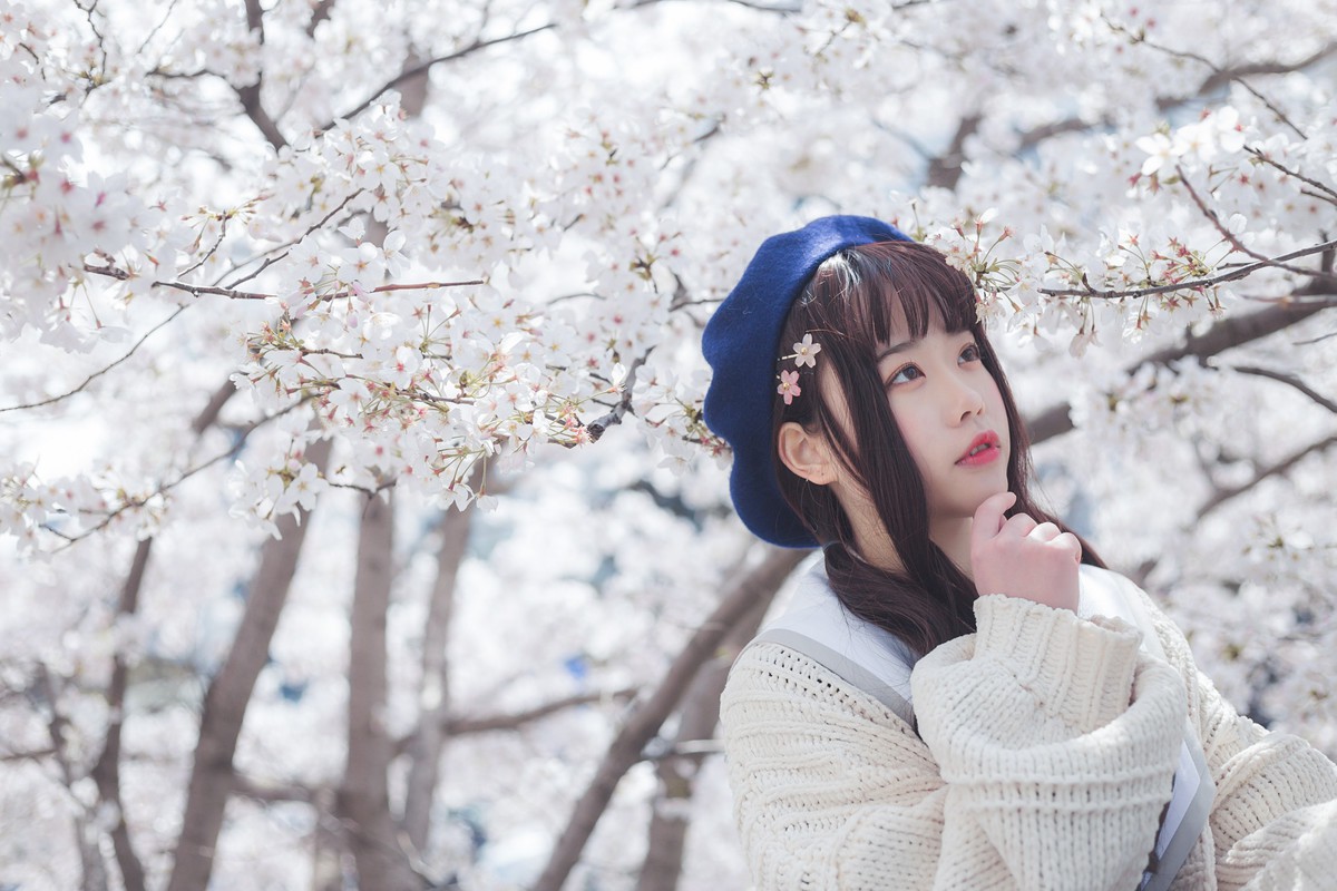 白雪姬x桜