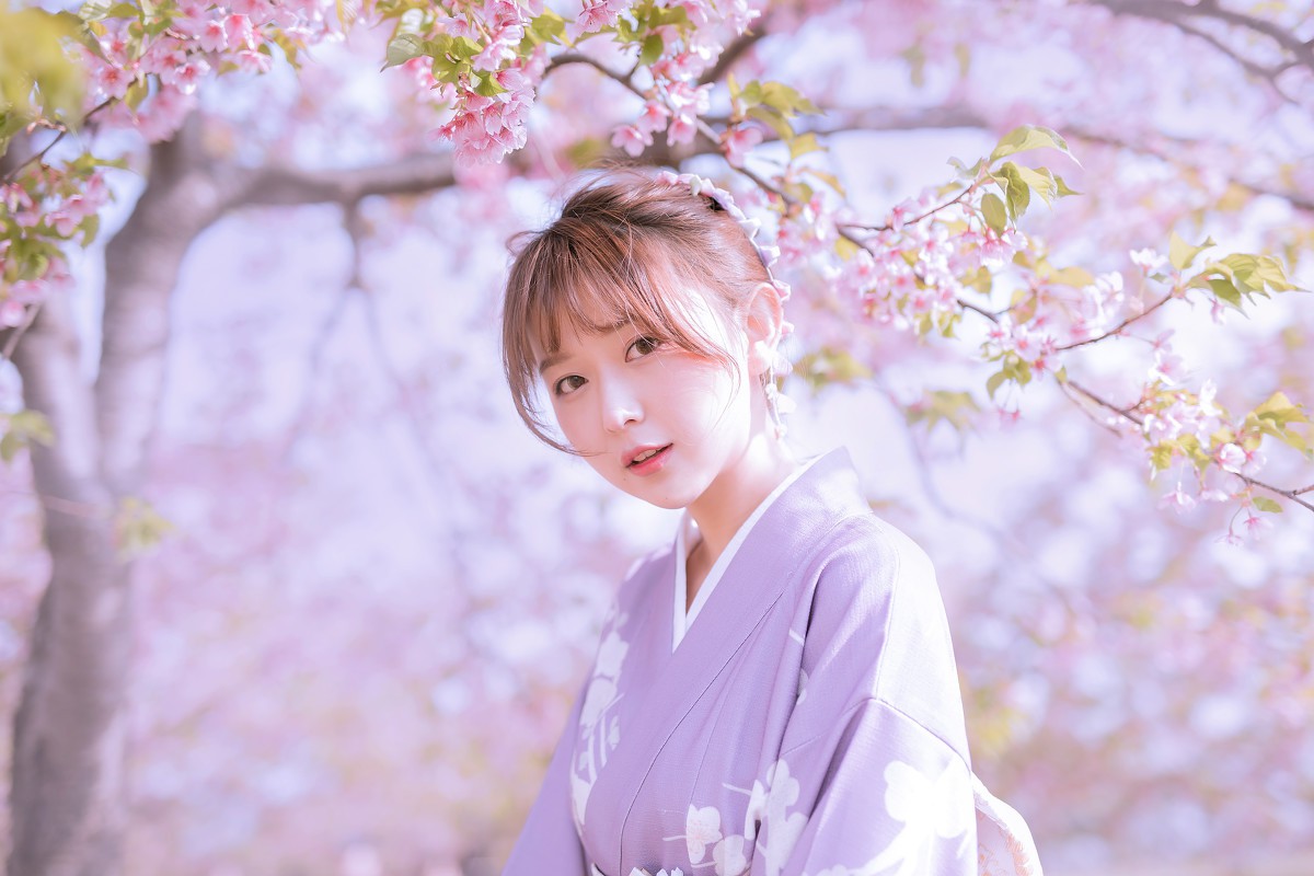 樱花季