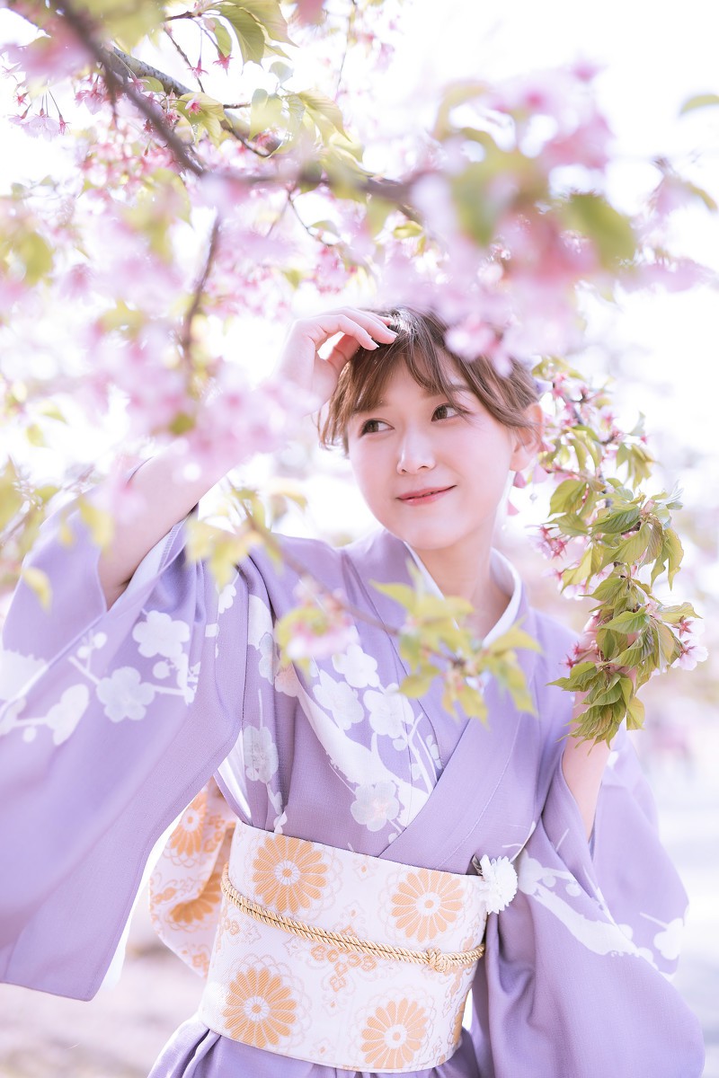 樱花季