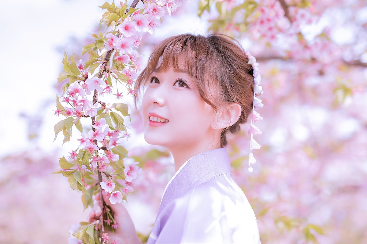 樱花季