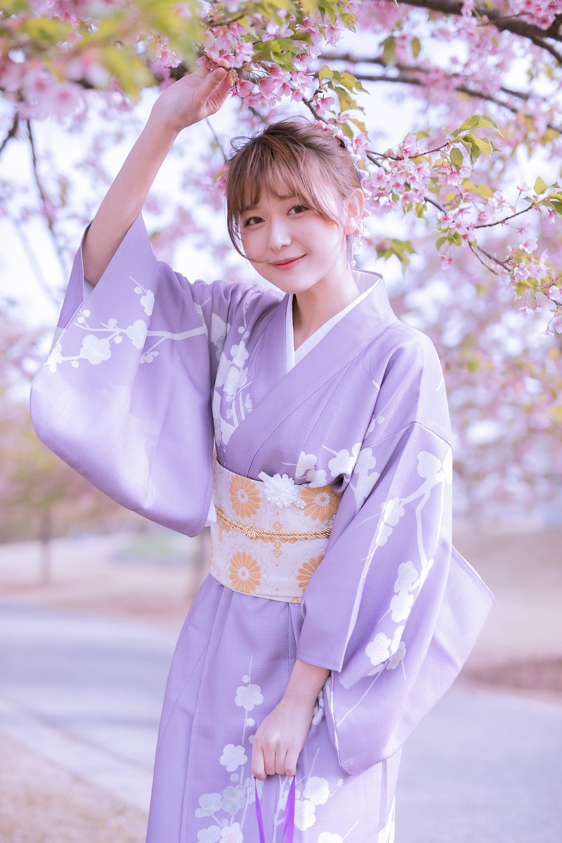 樱花季