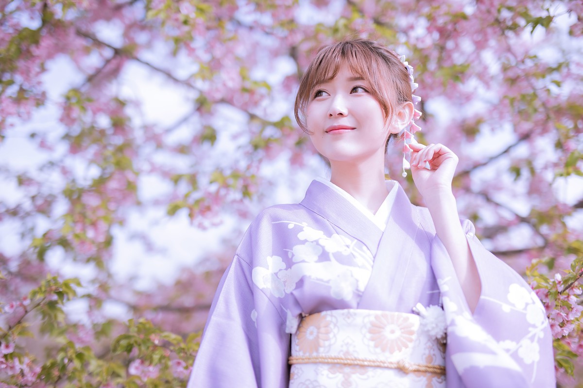 樱花季