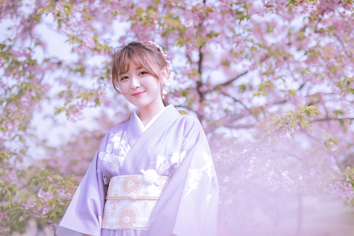 樱花季